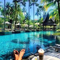 Отзыв от Полина - Visa DTV